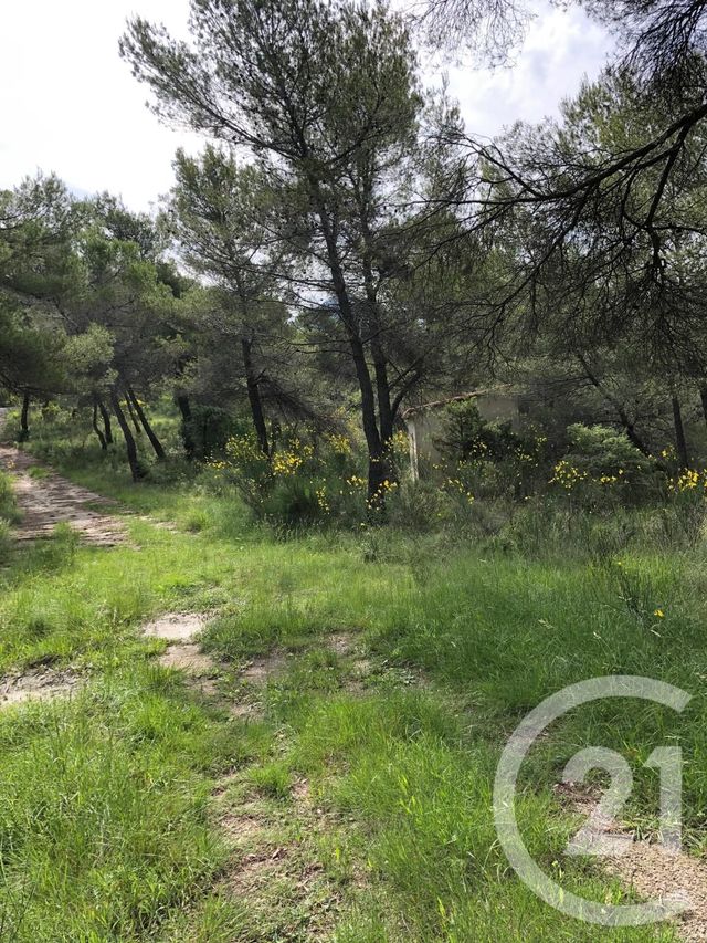 Afficher la photo en grand terrain à vendre - 12000.0 m2 - PEILLE - 06 - PROVENCE-ALPES-COTE-D-AZUR - Century 21 Optimmo
