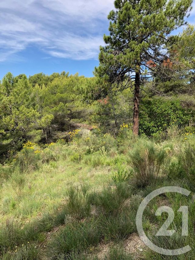 Afficher la photo en grand terrain à vendre - 12000.0 m2 - PEILLE - 06 - PROVENCE-ALPES-COTE-D-AZUR - Century 21 Optimmo