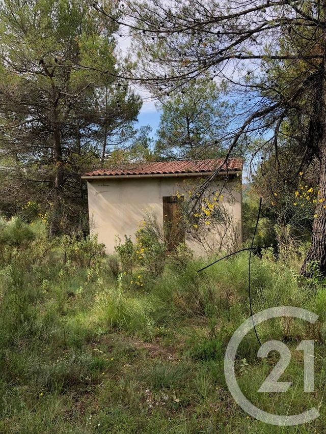 Afficher la photo en grand terrain à vendre - 12000.0 m2 - PEILLE - 06 - PROVENCE-ALPES-COTE-D-AZUR - Century 21 Optimmo
