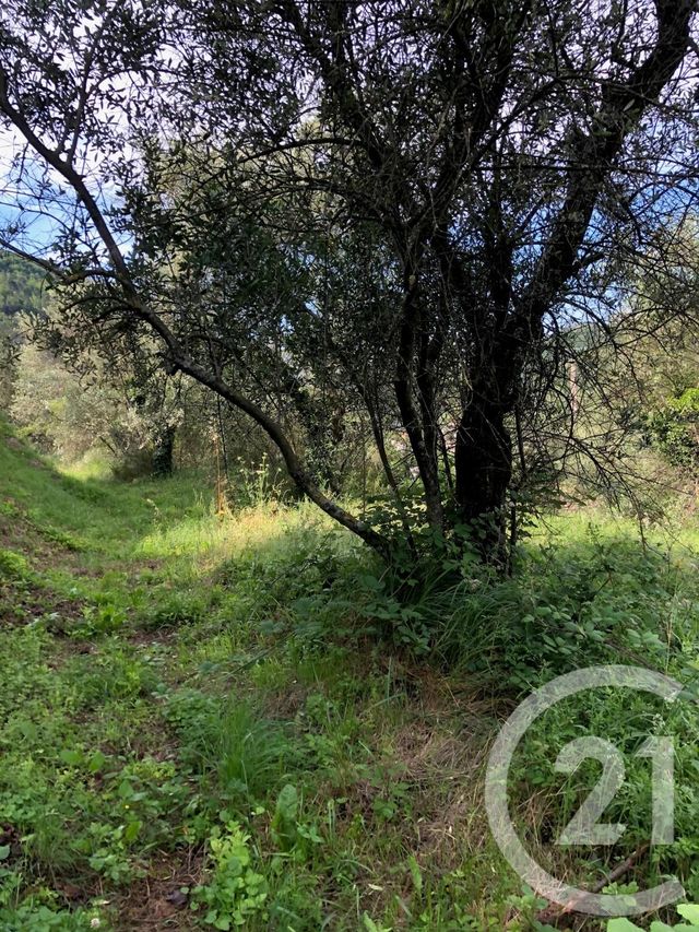 terrain à vendre - 3460.0 m2 - LUCERAM - 06 - PROVENCE-ALPES-COTE-D-AZUR - Century 21 Optimmo terrain à vendre - 3460.0 m2 - LUCERAM - 06 - PROVENCE-ALPES-COTE-D-AZUR - Century 21 Optimmo