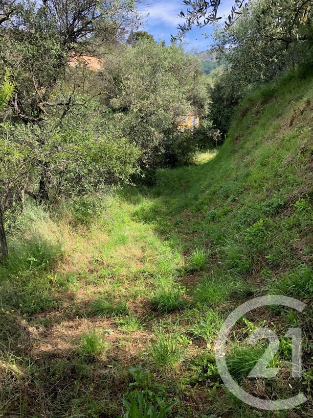 terrain à vendre - 3460.0 m2 - LUCERAM - 06 - PROVENCE-ALPES-COTE-D-AZUR - Century 21 Optimmo terrain à vendre - 3460.0 m2 - LUCERAM - 06 - PROVENCE-ALPES-COTE-D-AZUR - Century 21 Optimmo