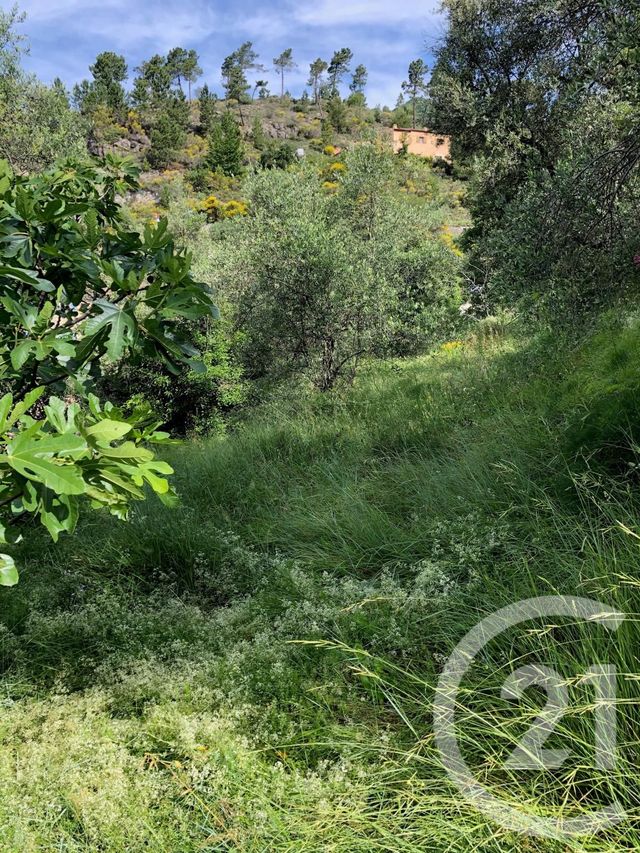 terrain à vendre - 3460.0 m2 - LUCERAM - 06 - PROVENCE-ALPES-COTE-D-AZUR - Century 21 Optimmo terrain à vendre - 3460.0 m2 - LUCERAM - 06 - PROVENCE-ALPES-COTE-D-AZUR - Century 21 Optimmo