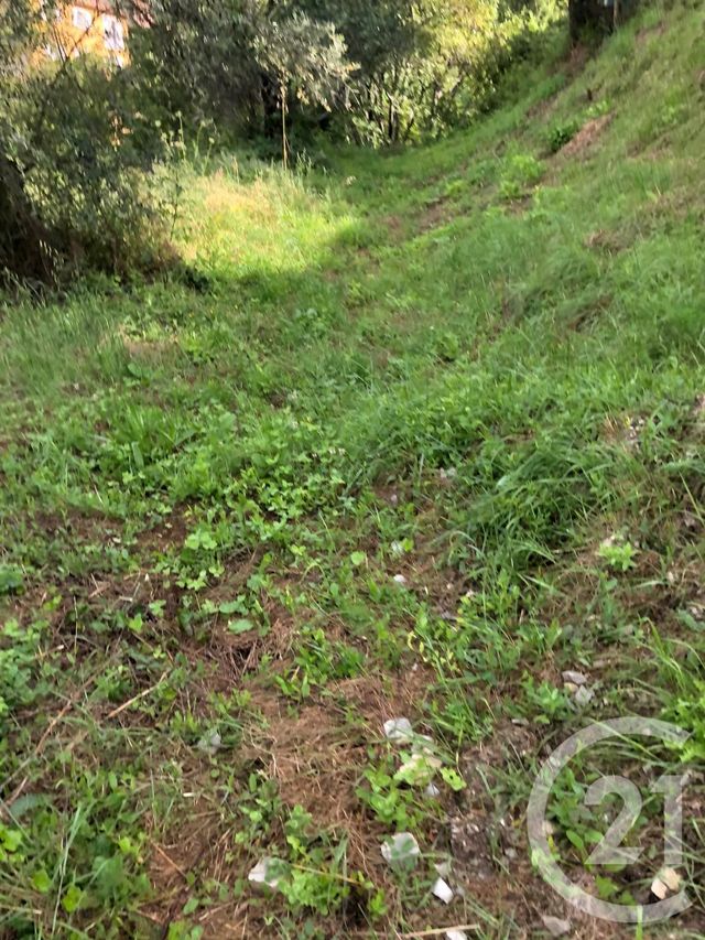 terrain à vendre - 3460.0 m2 - LUCERAM - 06 - PROVENCE-ALPES-COTE-D-AZUR - Century 21 Optimmo terrain à vendre - 3460.0 m2 - LUCERAM - 06 - PROVENCE-ALPES-COTE-D-AZUR - Century 21 Optimmo